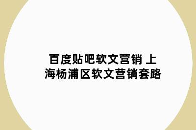 百度贴吧软文营销 上海杨浦区软文营销套路